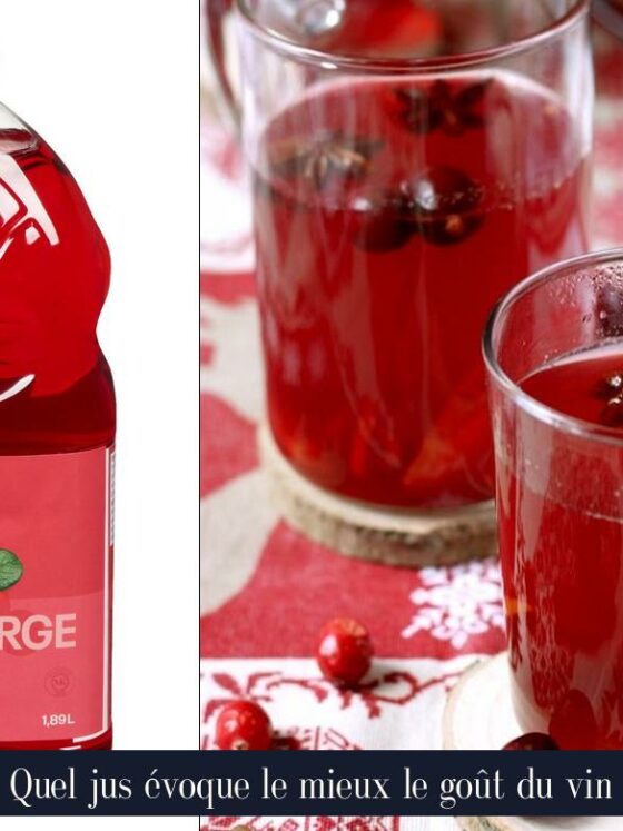 Quel jus évoque le mieux le goût du vin