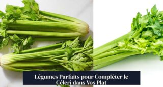 Légumes Parfaits pour Compléter le Céleri dans Vos Plat