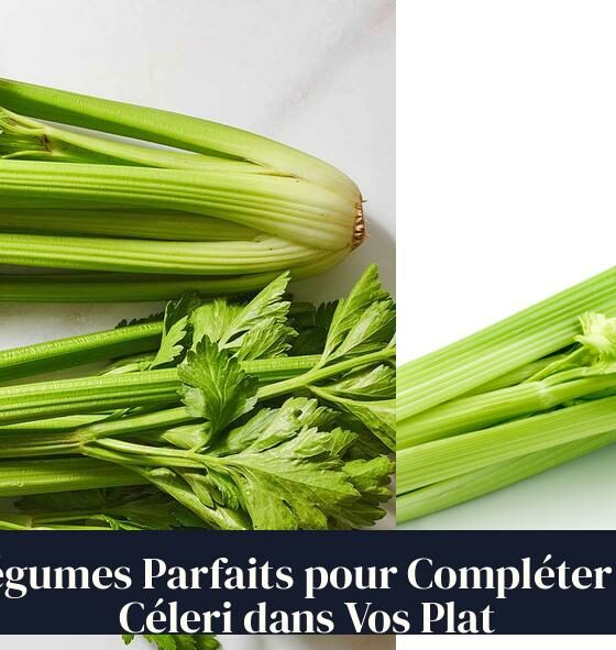 Légumes Parfaits pour Compléter le Céleri dans Vos Plat