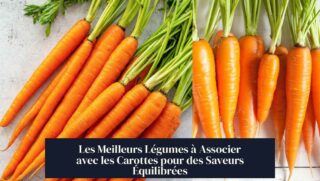 Les Meilleurs Légumes à Associer avec les Carottes pour des Saveurs Équilibrées