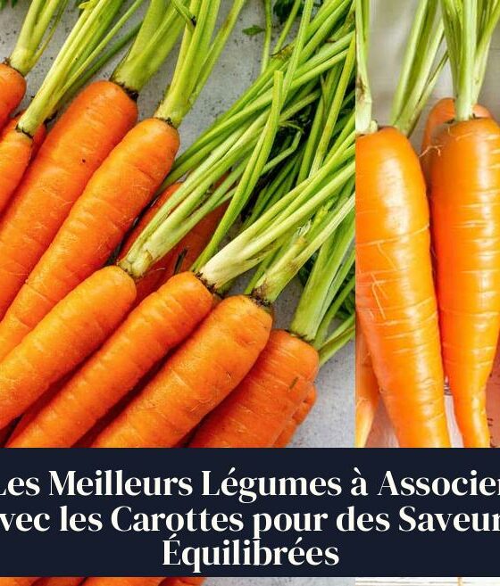 Les Meilleurs Légumes à Associer avec les Carottes pour des Saveurs Équilibrées