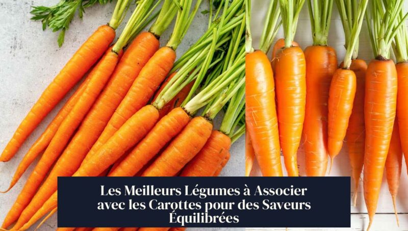 Les Meilleurs Légumes à Associer avec les Carottes pour des Saveurs Équilibrées