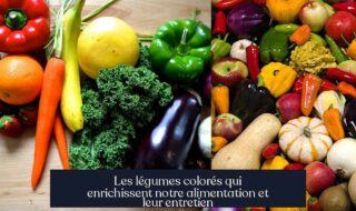 Les légumes colorés qui enrichissent notre alimentation et leur entretien