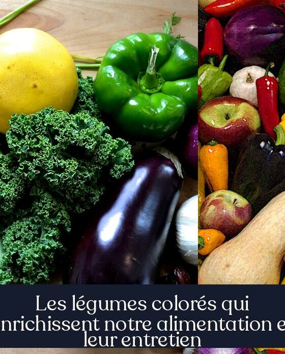 Les légumes colorés qui enrichissent notre alimentation et leur entretien