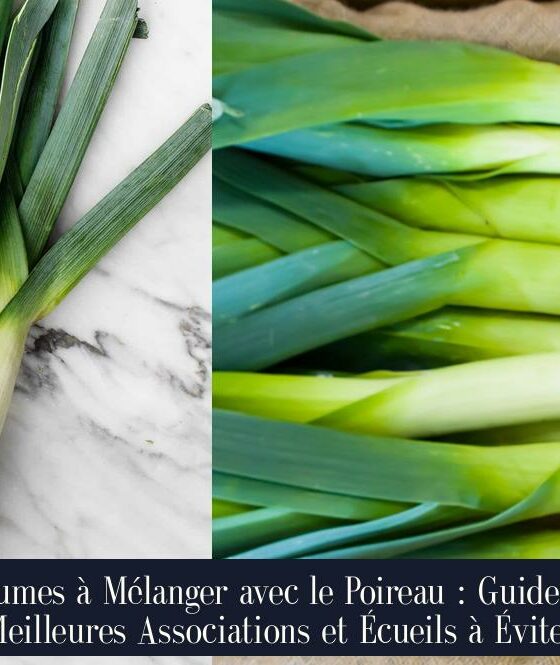 Légumes à Mélanger avec le Poireau : Guide des Meilleures Associations et Écueils à Éviter