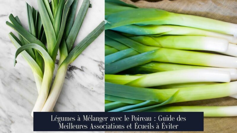 Légumes à Mélanger avec le Poireau : Guide des Meilleures Associations et Écueils à Éviter