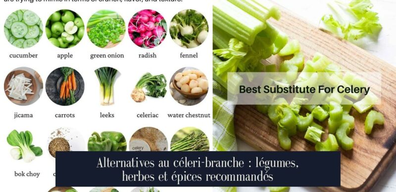 Alternatives au céleri-branche : légumes, herbes et épices recommandés