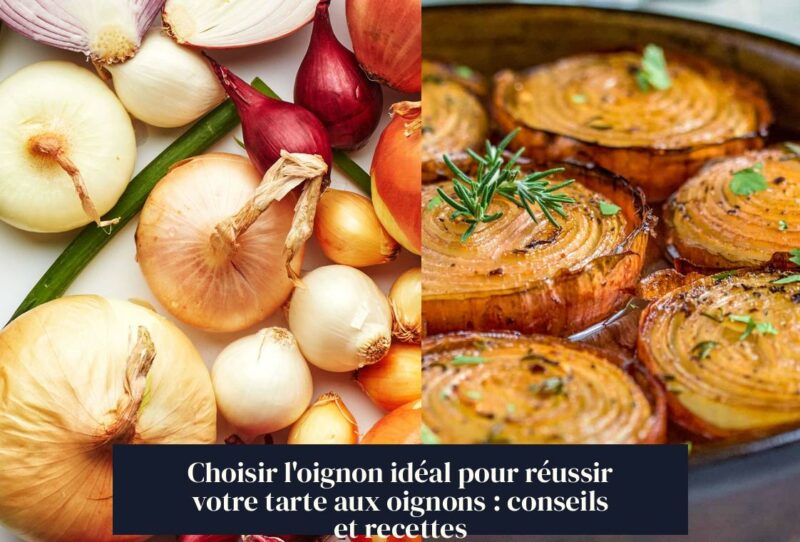 Choisir l'oignon idéal pour réussir votre tarte aux oignons : conseils et recettes