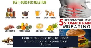 Pain et estomac fragile : choix à faire et conseils pour bien digérer