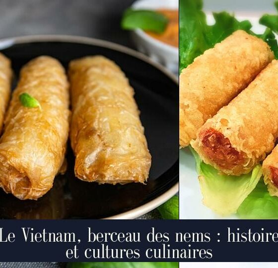 Le Vietnam, berceau des nems : histoire et cultures culinaires
