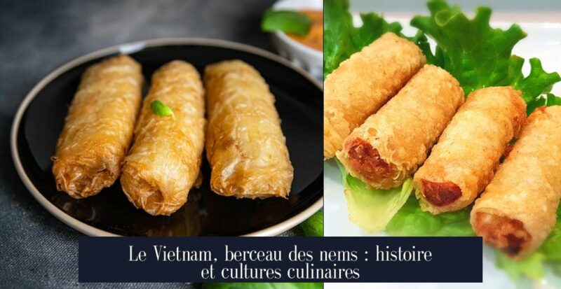 Le Vietnam, berceau des nems : histoire et cultures culinaires