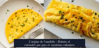 L'origine de l'omelette : Histoire et curiosités par pays et variations culinaires