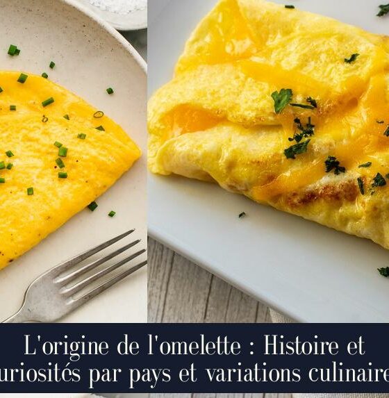 L'origine de l'omelette : Histoire et curiosités par pays et variations culinaires