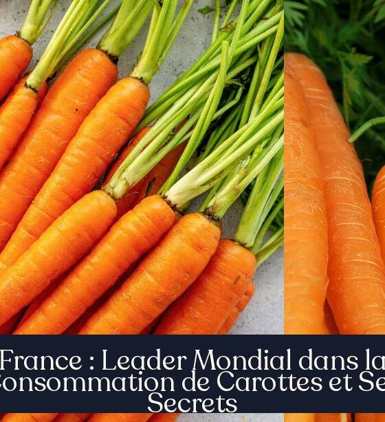 France : Leader Mondial dans la Consommation de Carottes et Ses Secrets