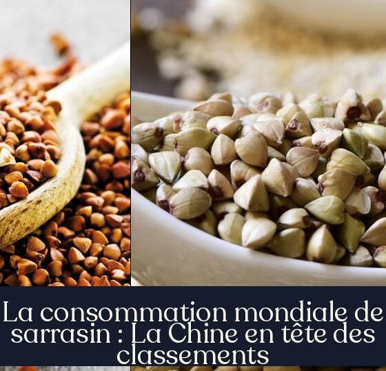 La consommation mondiale de sarrasin : La Chine en tête des classements