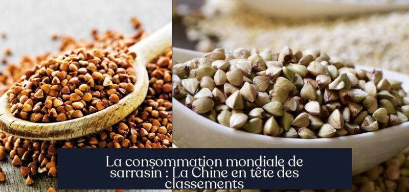 La consommation mondiale de sarrasin : La Chine en tête des classements