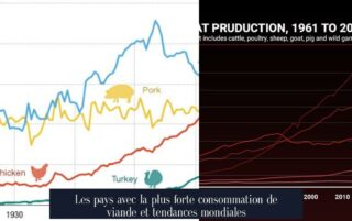 Les pays avec la plus forte consommation de viande et tendances mondiales
