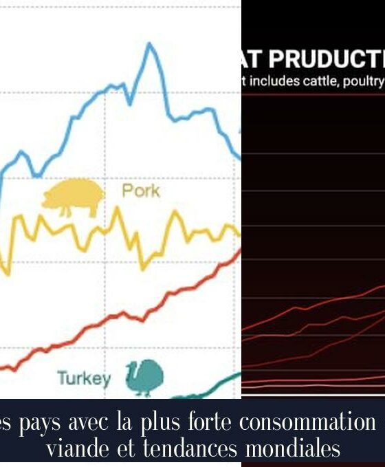 Les pays avec la plus forte consommation de viande et tendances mondiales