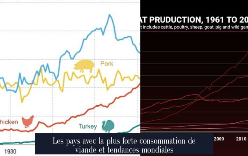 Les pays avec la plus forte consommation de viande et tendances mondiales