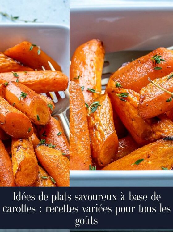 Idées de plats savoureux à base de carottes : recettes variées pour tous les goûts
