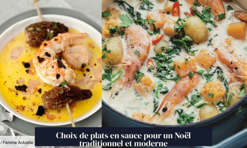 Choix de plats en sauce pour un Noël traditionnel et moderne