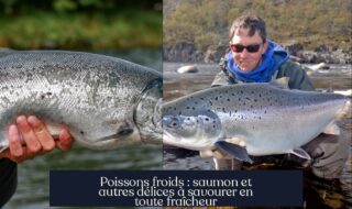 Poissons froids : saumon et autres délices à savourer en toute fraîcheur