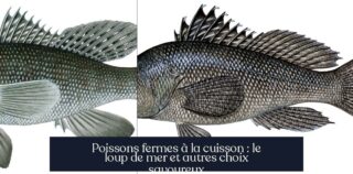 Poissons fermes à la cuisson : le loup de mer et autres choix savoureux