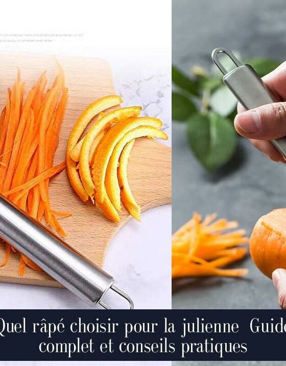 Quel râpé choisir pour la julienne Guide complet et conseils pratiques