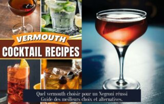 Quel vermouth choisir pour un Negroni réussi Guide des meilleurs choix et alternatives.