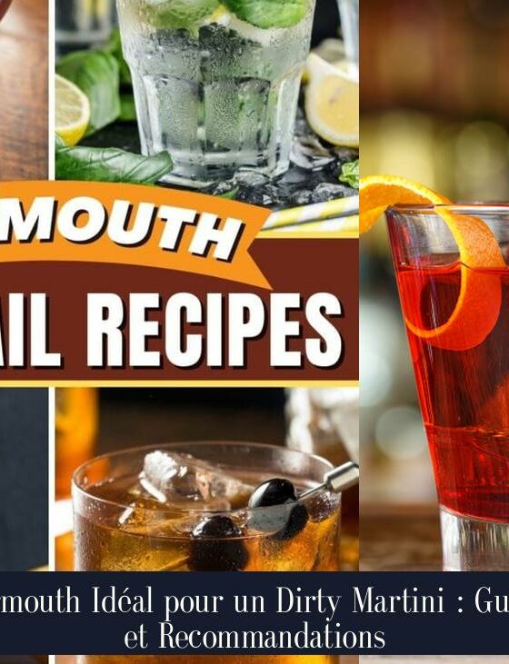 Vermouth Idéal pour un Dirty Martini : Guide et Recommandations