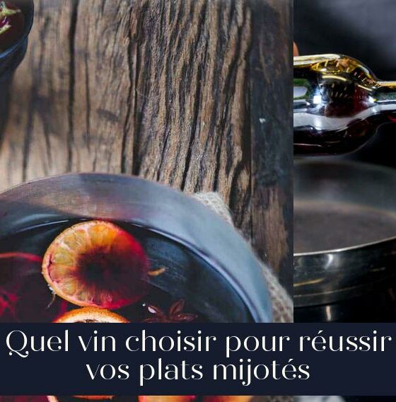 Quel vin choisir pour réussir vos plats mijotés
