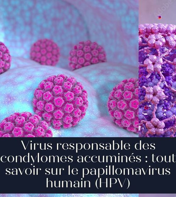 Virus responsable des condylomes accuminés : tout savoir sur le papillomavirus humain (HPV)