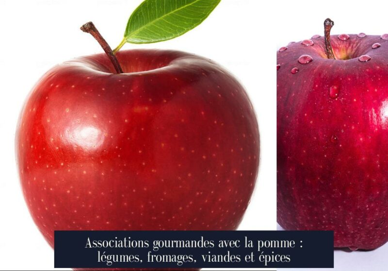 Associations gourmandes avec la pomme : légumes, fromages, viandes et épices