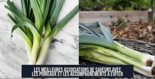Les Meilleures Associations de Saveurs avec les Poireaux et les Accompagnements à Éviter