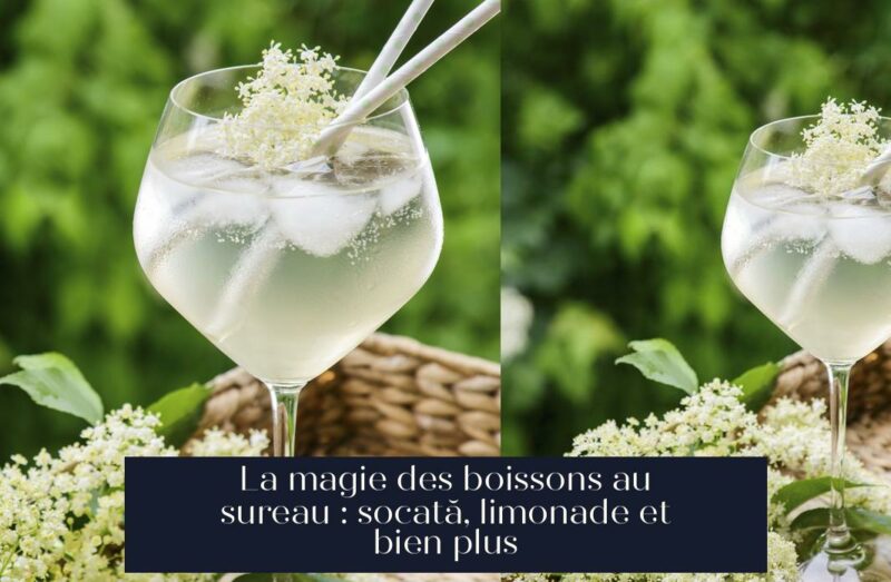La magie des boissons au sureau : socată, limonade et bien plus