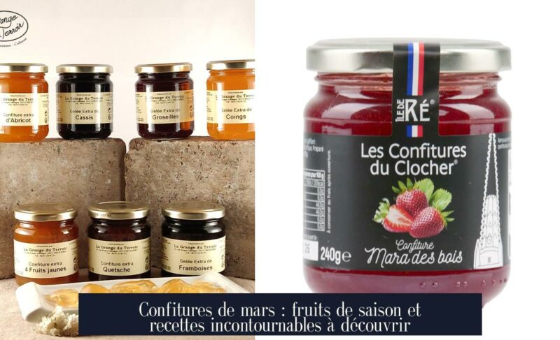 Confitures de mars : fruits de saison et recettes incontournables à découvrir