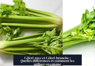 Céleri-rave et Céleri-branche : Quelles différences et comment les utiliser en cuisine