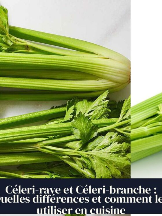 Céleri-rave et Céleri-branche : Quelles différences et comment les utiliser en cuisine