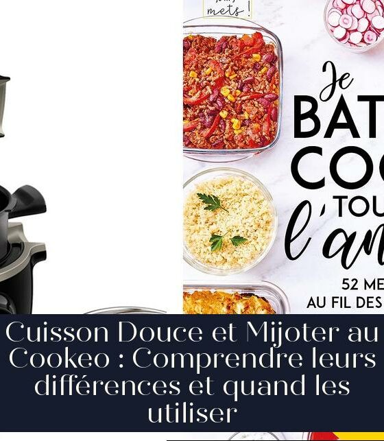 Cuisson Douce et Mijoter au Cookeo : Comprendre leurs différences et quand les utiliser