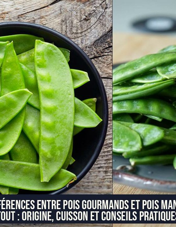 Différences entre pois gourmands et pois mange-tout : origine, cuisson et conseils pratiques