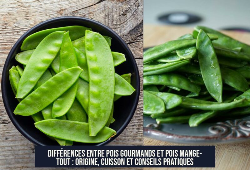 Différences entre pois gourmands et pois mange-tout : origine, cuisson et conseils pratiques