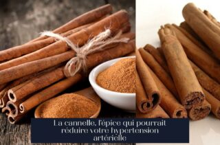 La cannelle, l'épice qui pourrait réduire votre hypertension artérielle