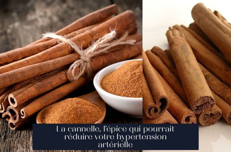 La cannelle, l'épice qui pourrait réduire votre hypertension artérielle