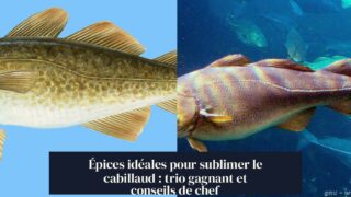 Épices idéales pour sublimer le cabillaud : trio gagnant et conseils de chef