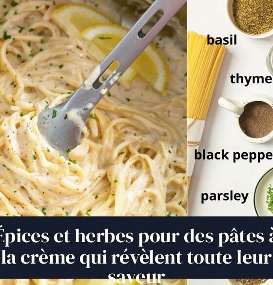 Épices et herbes pour des pâtes à la crème qui révèlent toute leur saveur