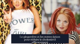 Le gingembre et les autres épices pour réduire le cholestérol efficacement