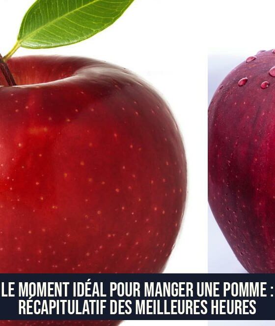 Le Moment Idéal Pour Manger une Pomme : Récapitulatif des Meilleures Heures
