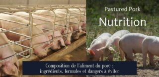 Composition de l'aliment du porc : ingrédients, formules et dangers à éviter