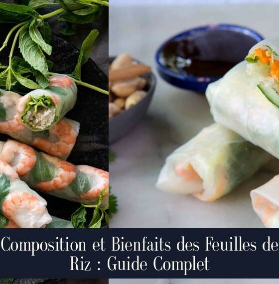 Composition et Bienfaits des Feuilles de Riz : Guide Complet