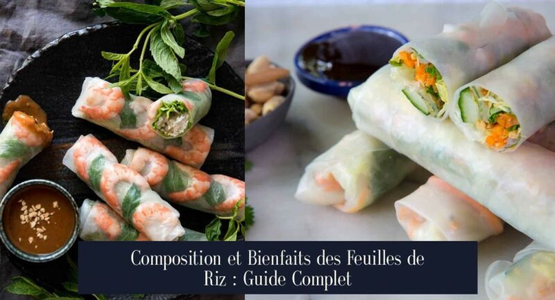 Composition et Bienfaits des Feuilles de Riz : Guide Complet